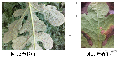 臺(tái)州農(nóng)資 臺(tái)州農(nóng)資