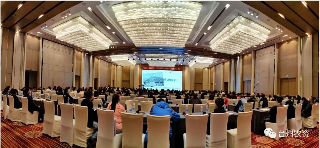 技物通達 瓜行天下 讓農民種瓜更輕松