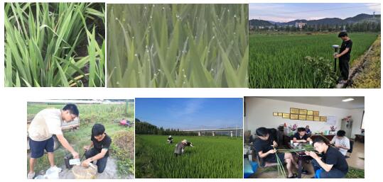 臺州農(nóng)資 臺州農(nóng)資